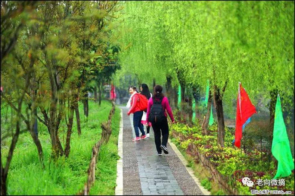 【春天，广西桂林灌阳县向您发出邀请！】江口老街又逢春 - 游山玩水 - 呼和浩特生活社区 - 呼和浩特28生活网 hu.28life.net