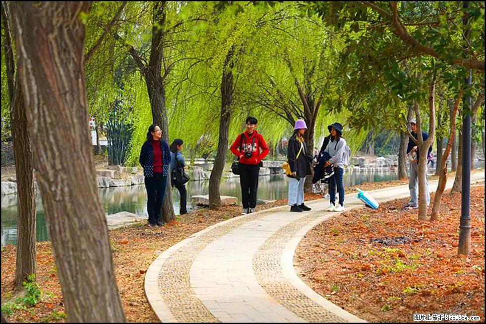 【春天，广西桂林灌阳县向您发出邀请！】江口老街又逢春 - 游山玩水 - 呼和浩特生活社区 - 呼和浩特28生活网 hu.28life.net