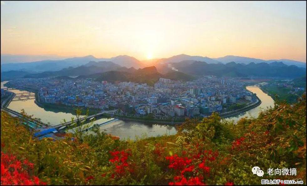 【春天，广西桂林灌阳县向您发出邀请！】登麒麟山，相约映山红 - 游山玩水 - 呼和浩特生活社区 - 呼和浩特28生活网 hu.28life.net