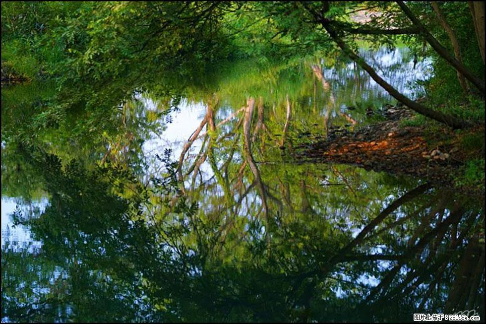 【春天，广西桂林灌阳县向您发出邀请！】熊家寨湿地公园 - 游山玩水 - 呼和浩特生活社区 - 呼和浩特28生活网 hu.28life.net