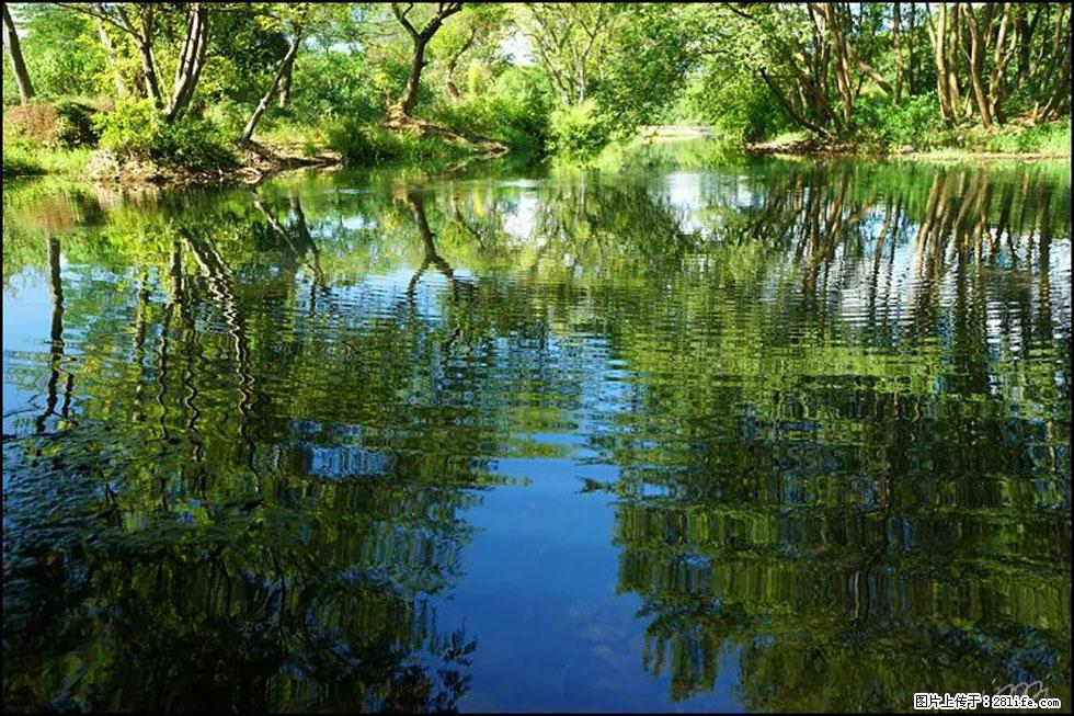 【春天，广西桂林灌阳县向您发出邀请！】熊家寨湿地公园 - 游山玩水 - 呼和浩特生活社区 - 呼和浩特28生活网 hu.28life.net