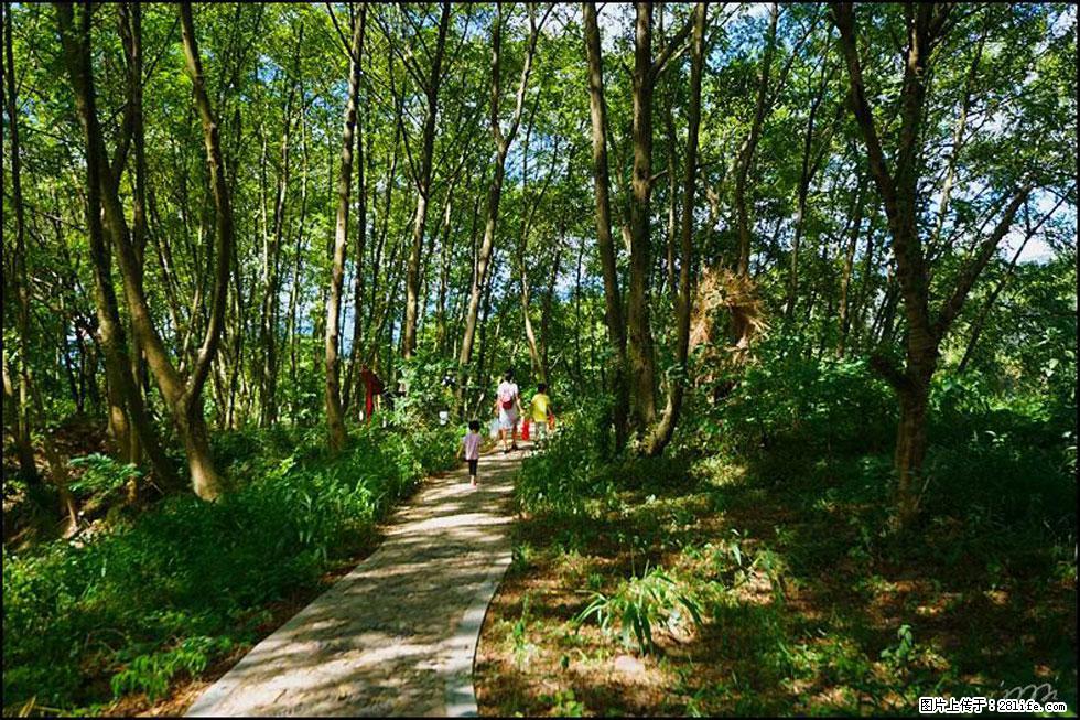 【春天，广西桂林灌阳县向您发出邀请！】熊家寨湿地公园 - 游山玩水 - 呼和浩特生活社区 - 呼和浩特28生活网 hu.28life.net