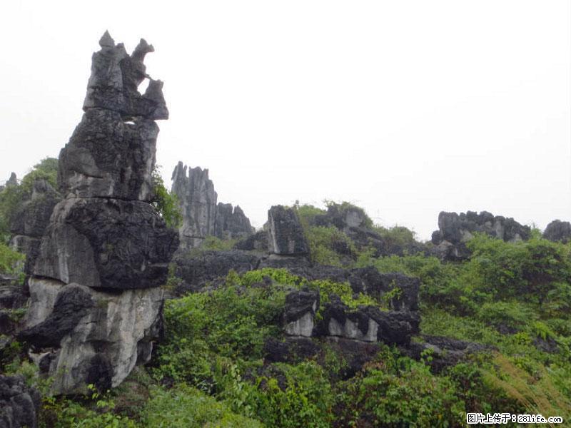 桂林旅游名城景点：灌阳文市石林 - 游山玩水 - 呼和浩特生活社区 - 呼和浩特28生活网 hu.28life.net