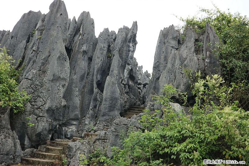 桂林旅游名城景点：灌阳文市石林 - 游山玩水 - 呼和浩特生活社区 - 呼和浩特28生活网 hu.28life.net