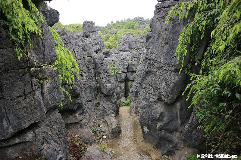 桂林旅游名城景点：灌阳文市石林 - 游山玩水 - 呼和浩特生活社区 - 呼和浩特28生活网 hu.28life.net