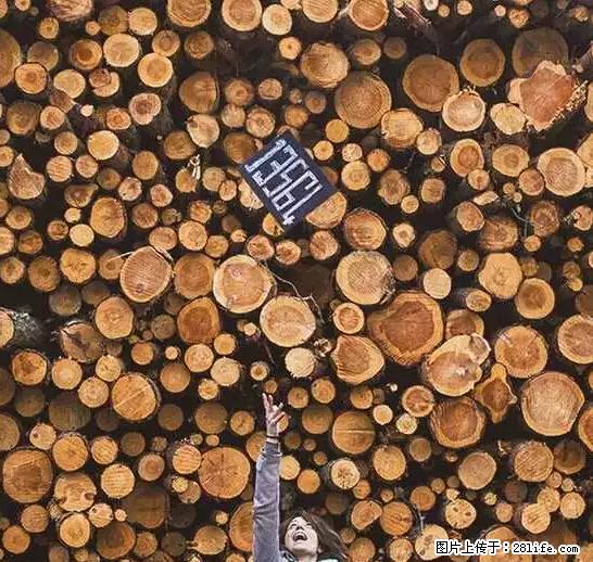 辞掉工作周游世界？现在他们在洗厕所…… - 游山玩水 - 呼和浩特生活社区 - 呼和浩特28生活网 hu.28life.net