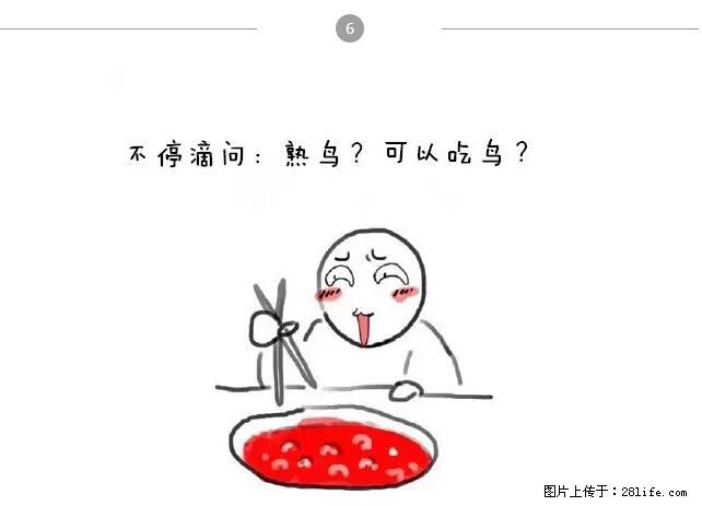 千万不要和这9种哈卵一起吃火锅！ - 美食天地 - 呼和浩特生活社区 - 呼和浩特28生活网 hu.28life.net