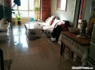 众德主推 万锦枫泽湾 精装修 采光好 拎包入住 包暖包物业 - 呼和浩特28生活网 hu.28life.net