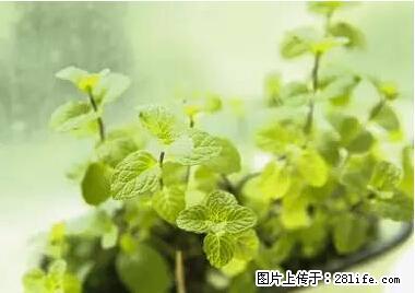 晕车、脚气、牙齿变黄、皮肤粗糙？学会这些三分钟搞定！ - 呼和浩特生活资讯 - 呼和浩特28生活网 hu.28life.net