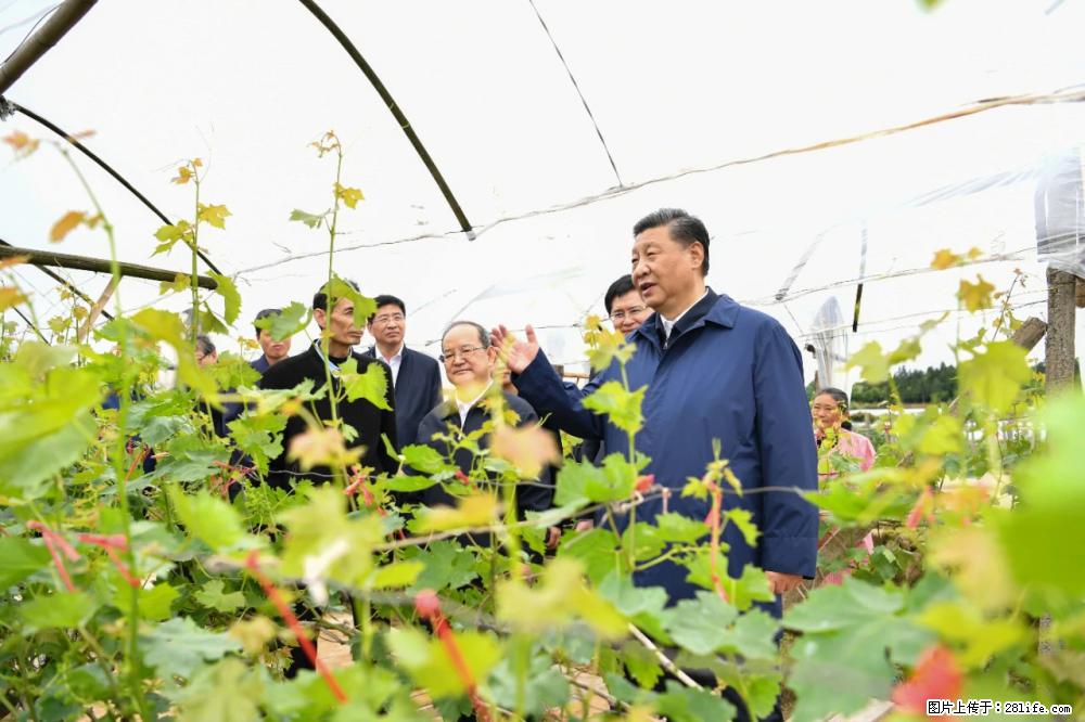 习近平赴广西考察调研 - 呼和浩特生活资讯 - 呼和浩特28生活网 hu.28life.net