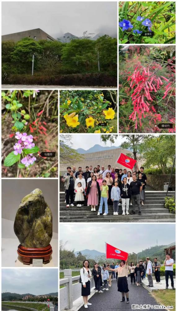 “粤灌文化 美好生活”油茶文化主题活动在广东深圳成功举办 - 呼和浩特生活资讯 - 呼和浩特28生活网 hu.28life.net