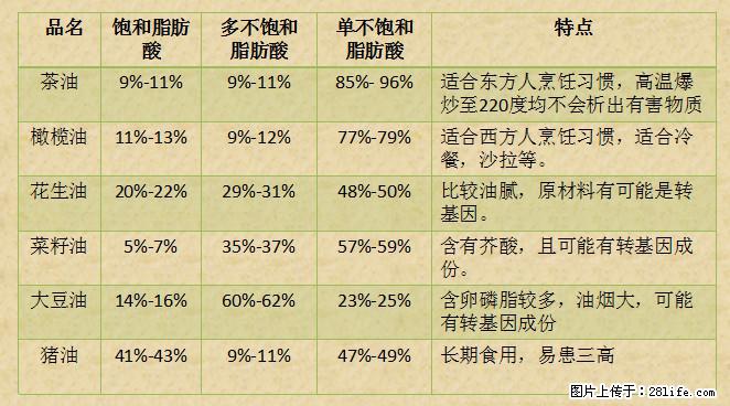 揭秘茶油的5大核心营养成分！被称为人体健康的“守护盾”！ - 呼和浩特生活资讯 - 呼和浩特28生活网 hu.28life.net