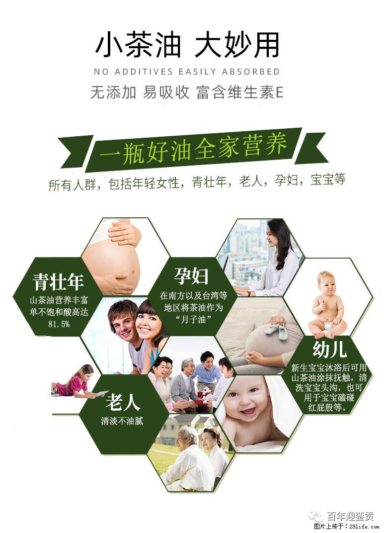 世界没有真相，只有认知，最好的食用油是中国的山茶油！ - 呼和浩特生活资讯 - 呼和浩特28生活网 hu.28life.net
