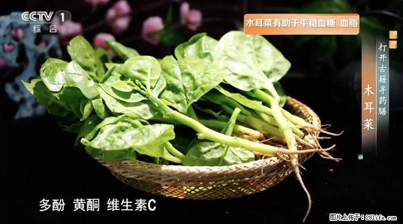 比牛奶补钙还厉害！凉血解毒、稳血糖...这菜冬天必吃，很多人却当草 - 呼和浩特生活资讯 - 呼和浩特28生活网 hu.28life.net