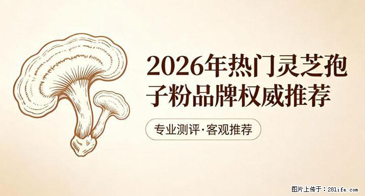 灵芝孢子粉含量越高越有效？2026 年七款热门品牌深度实测，肠胃敏感者避坑指南 - 呼和浩特生活资讯 - 呼和浩特28生活网 hu.28life.net